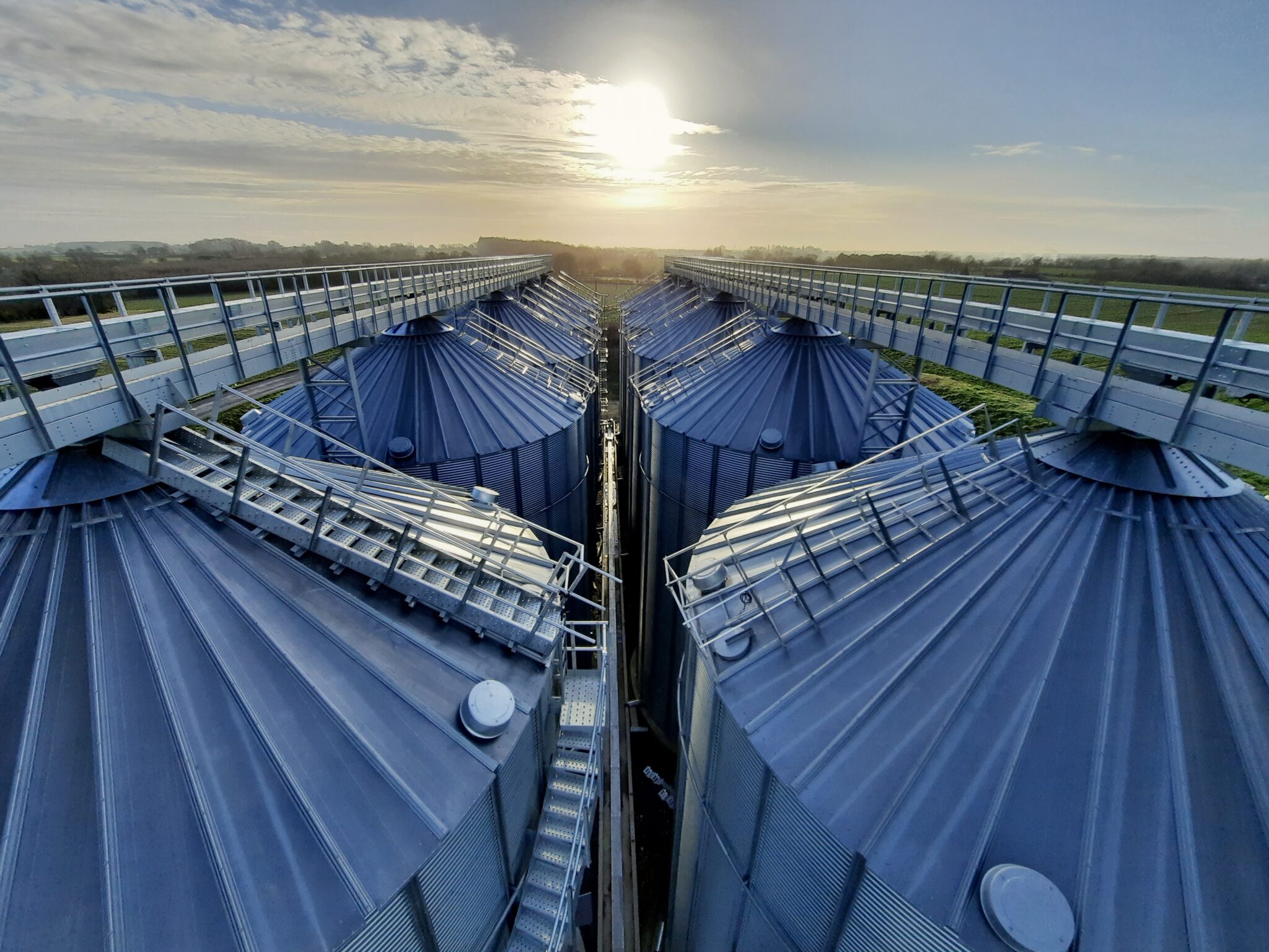 AGRICONSULT-stockage-grains-grain-ferme-cooperative