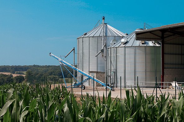 cellule sécheuse silo de stockage vis sur chariot avec champ de mais et hangar de stockage