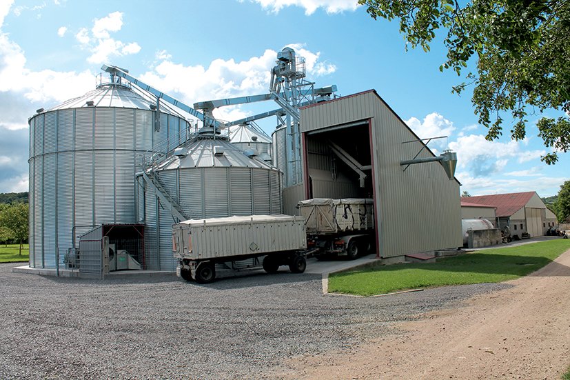 cellule sécheuse devant silos à grain avec convoyeurs à chaine inclinés