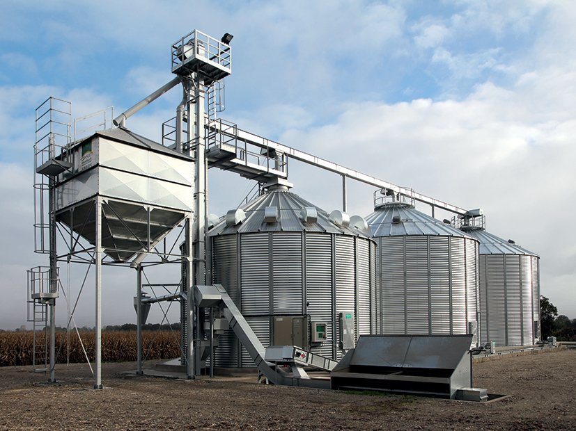 une cellule sécheuse trois silos de stockage de grain un boisseau et des convoyeurs à chaine