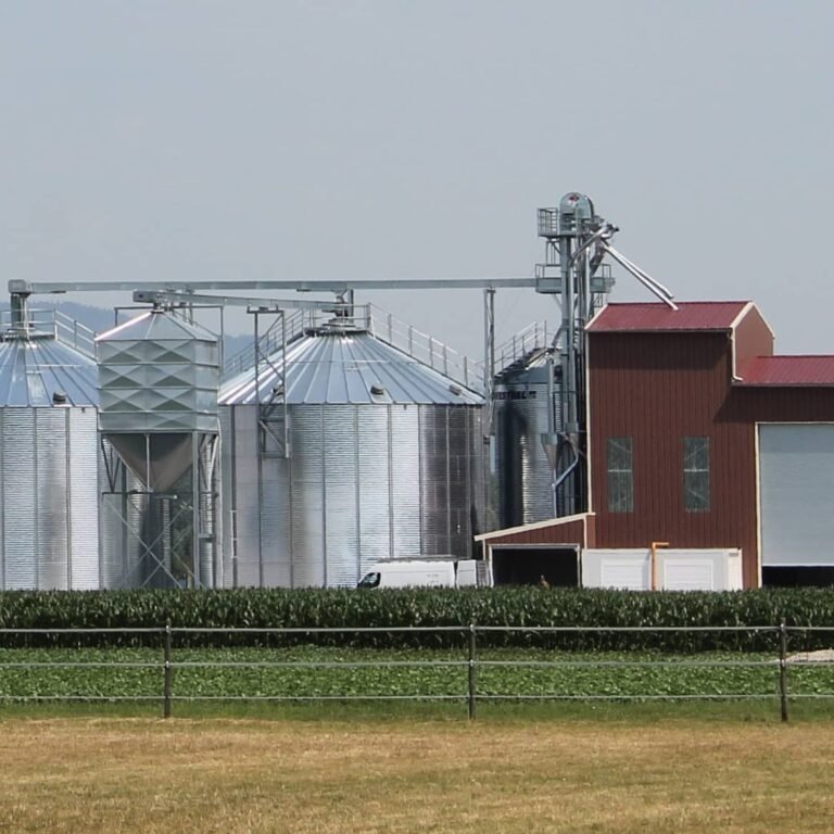 deux silos fond plat avec un boisseau et un bâtiment abritant un séchoir à maïs silo à grain 2876m3