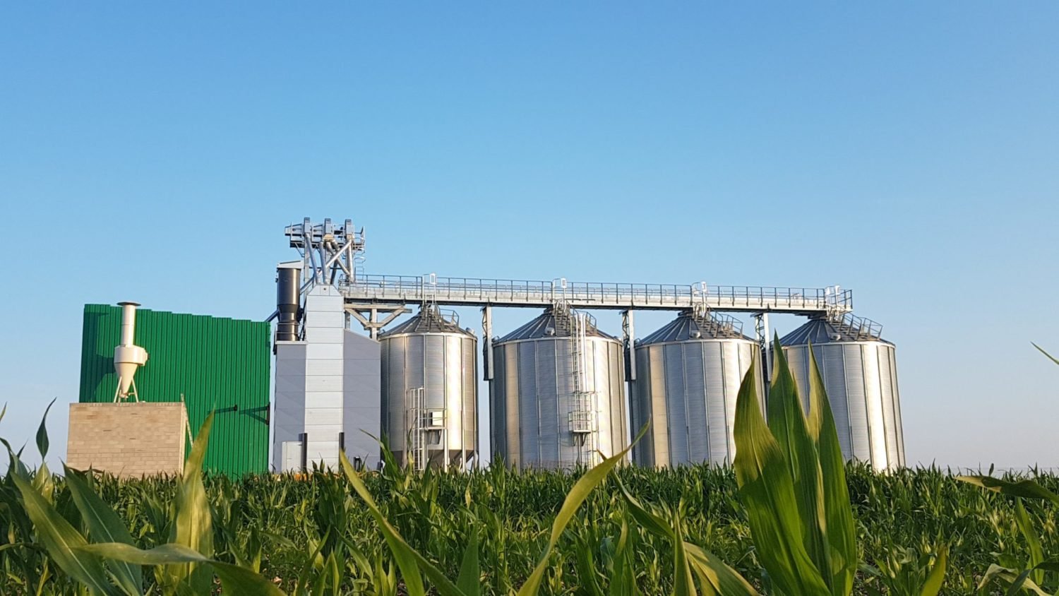 ligne de silo avec séchoir à maïs et passerelle