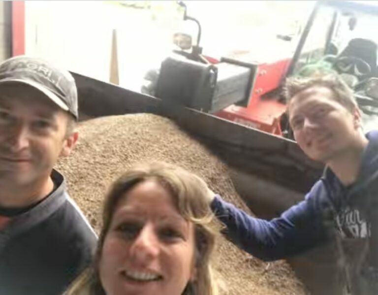 mise en service EARL du Pélin - Mise en service AgriConsult grain céréales vrac agriculture solutionclefenmain silo stockage nettoyage nettoyeur nettoyeurrotatif marot techniciendemaintenance tremie montage installation nettoyeurcalibreur benoit