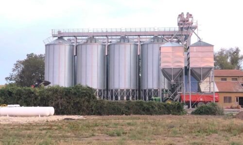 installation complete Agriconsult silos de stockage séchoir nettoyeur calibreur boisseaux