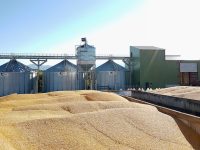 boisseau grains agriconsult installation manutention silos silo fosse céréale céréales diversification